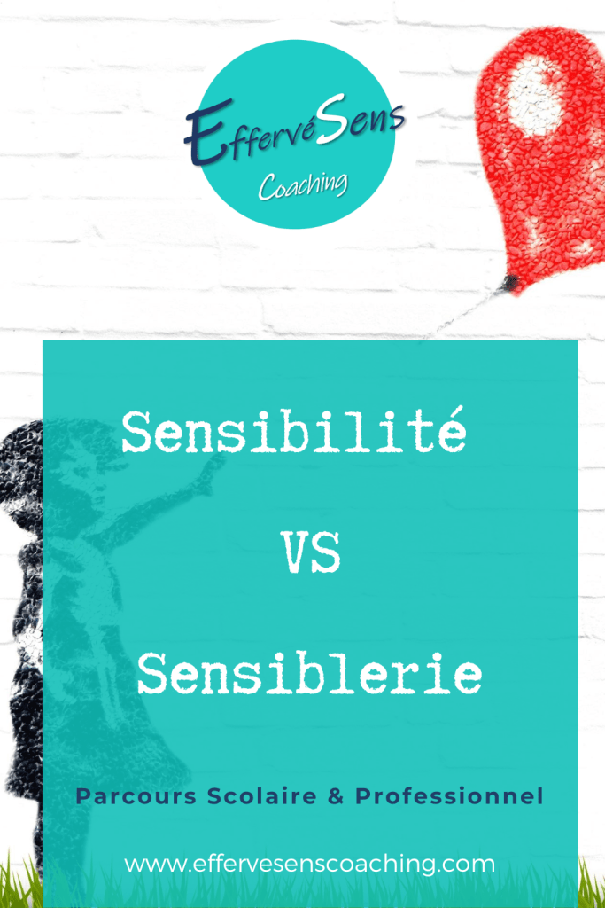 Accompagnement des Adultes à Haut Potentiel (HPI/HPE)
Bilan de compétences